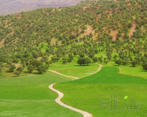راه بهشت