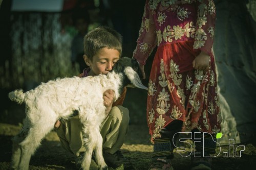 پسر عشایری
