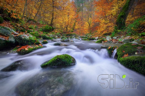 River in fall colors