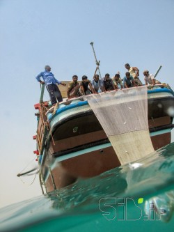 بدون عنوان