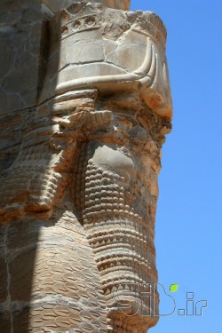 بدون عنوان