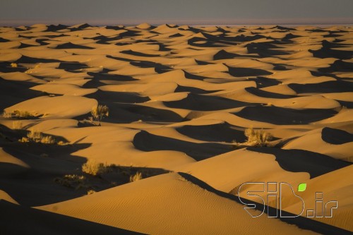 کویر مصر