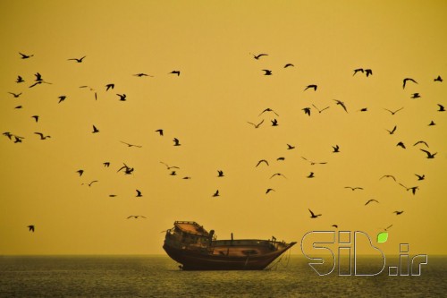 طلوع خلیج