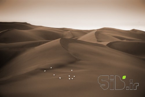 ردٍ باد 