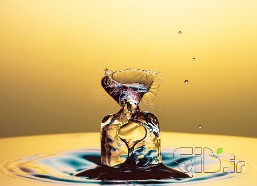 بدون عنوان