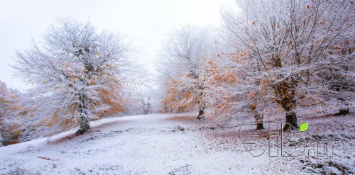 Freezing autumn