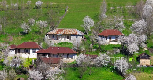 بهار در روستا