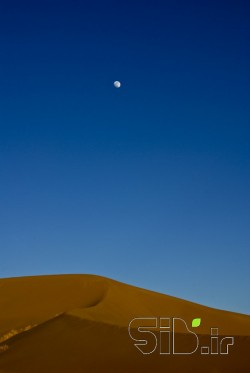 بدون عنوان
