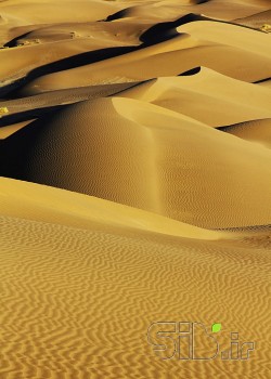 بدون عنوان