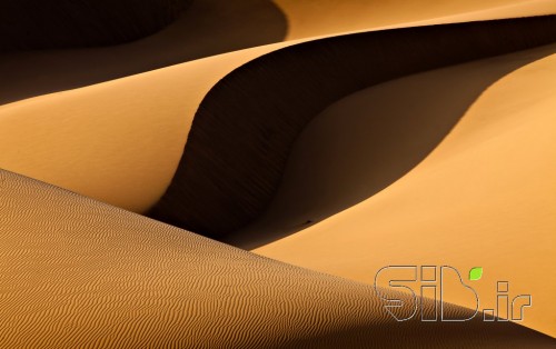سایه در روشنایی