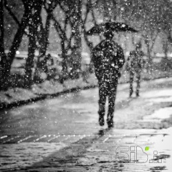 روز برفی