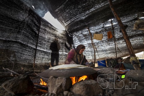 سایه پدر