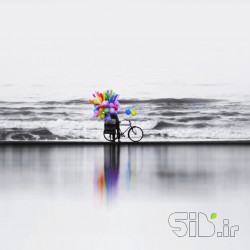 Colorful Loneliness