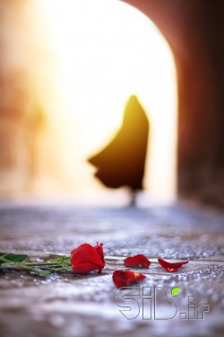 محو شدن در نور
