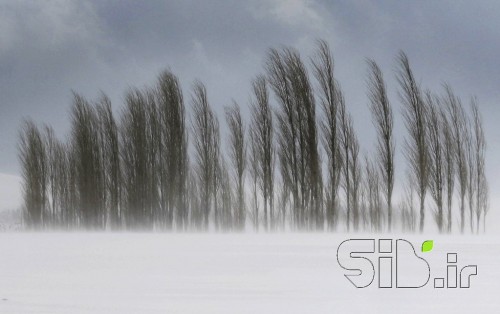 نقاشی مادر طبیعت