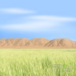 نرم