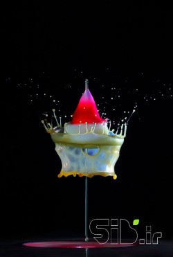 drops6