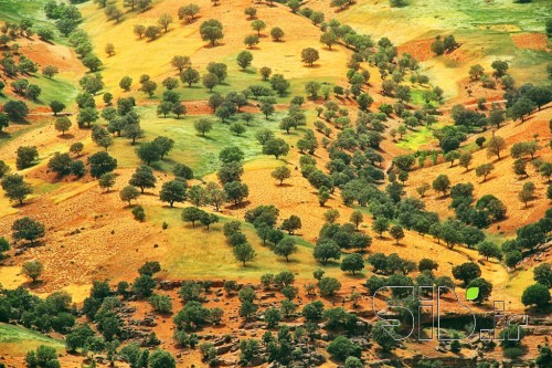 بلوطستان