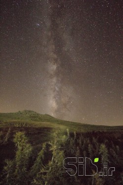 َشب هنگام