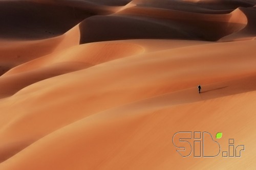 GOLDEN SANDS