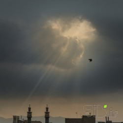 تهران