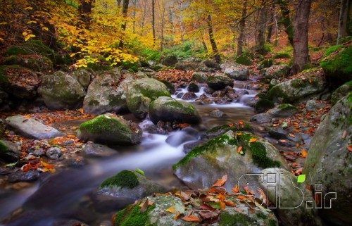 River in fall colors