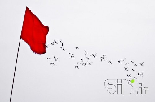 پروازی عاشقانه 