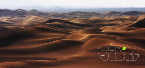 سرزمین موج های طلایی