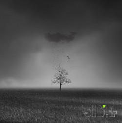 Black Snow | برف سیاه