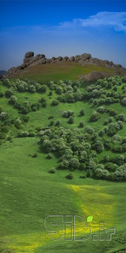 تا بالای تپه