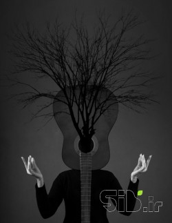 نوای طبیعت