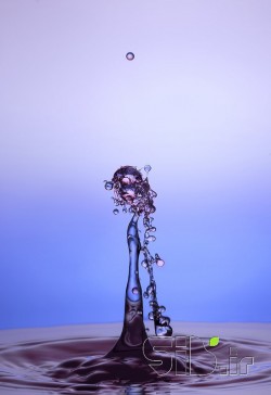Saxophonist