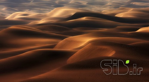golden waves