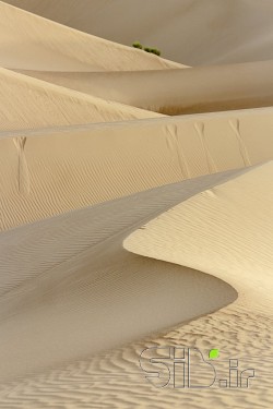 بیراهه