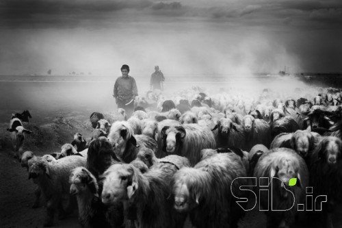 EMIGRATION 