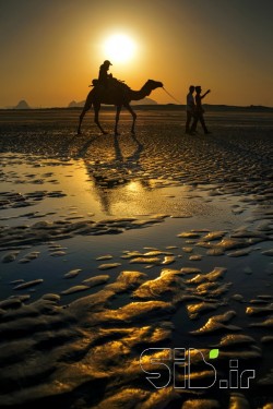 Passenger at sunset