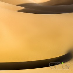 The  Curves