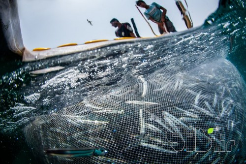 بدون عنوان