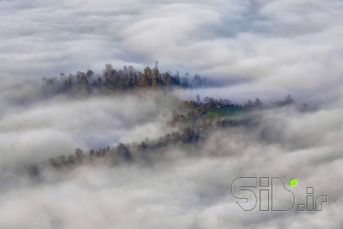 Surrounded in the Clouds