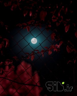 ماه بین ابر تار