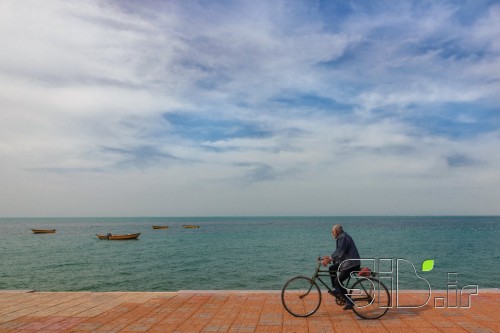 دوچرخه سوار