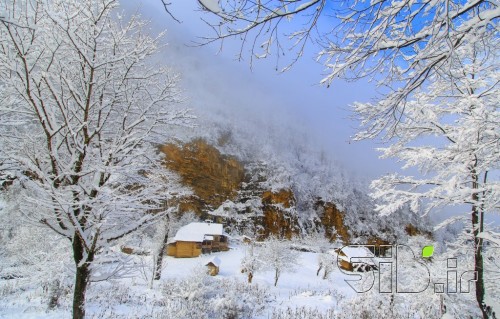 کلبه