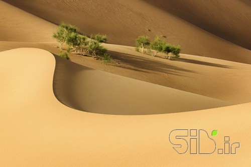 بدون عنوان