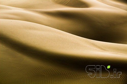 Golden sands