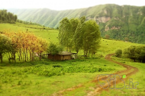 خانه سبز