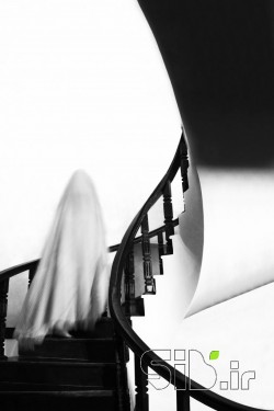 Motion