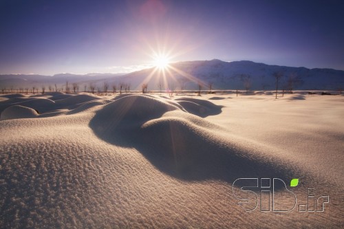 Sparkle Snow