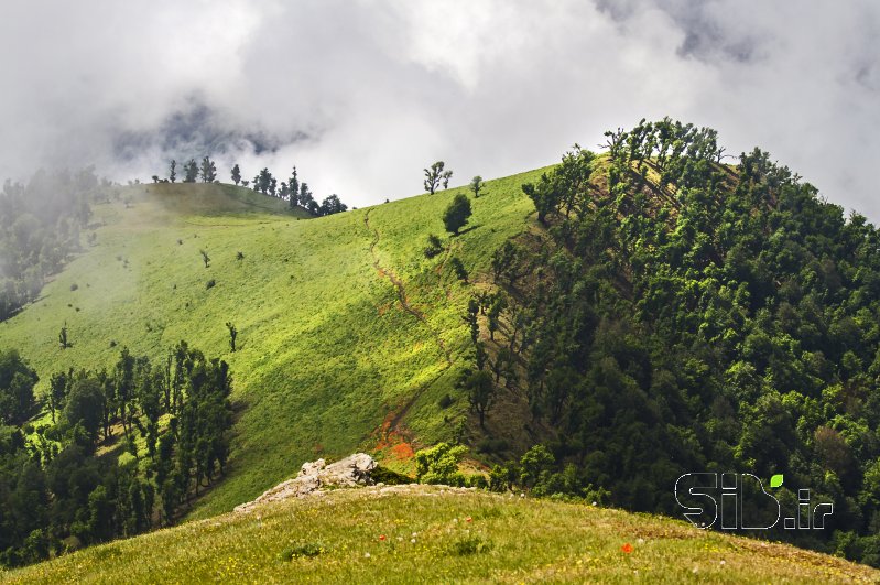 قاب عکس مدرن بدون عنوان منظره   طبیعت / روستایی اثر فرید ثانی