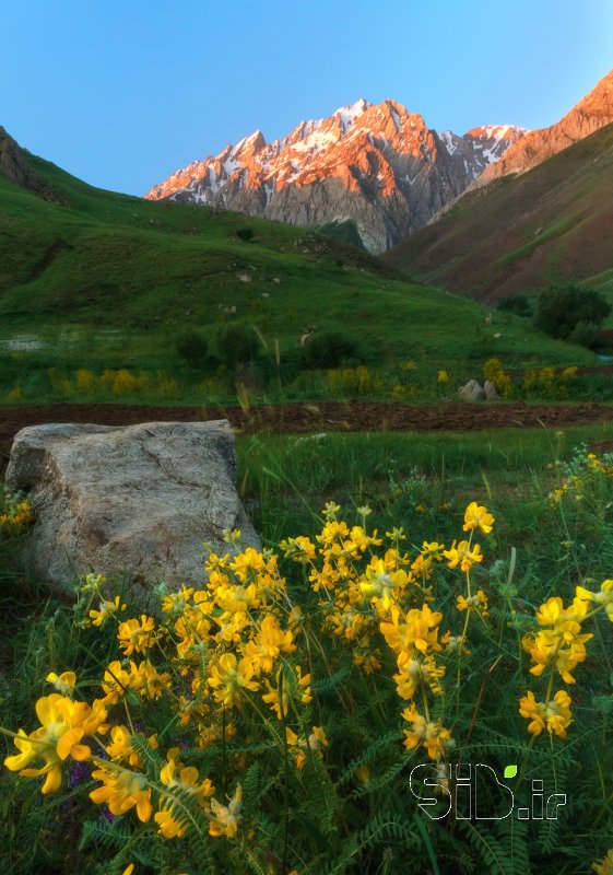 قاب عکس مدرن بدون عنوان منظره   طبیعت / روستایی اثر رضا ناظمی