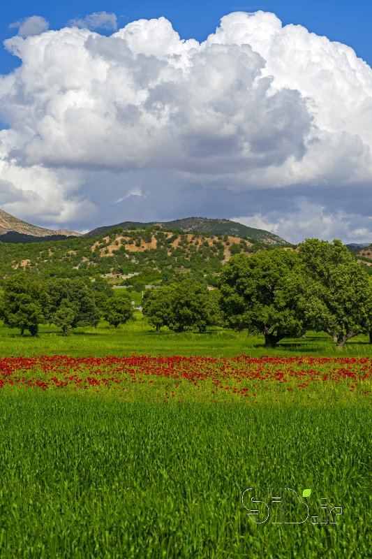 قاب عکس مدرن اديبهشت  منظره   طبیعت / روستایی اثر داود ایزدپناه